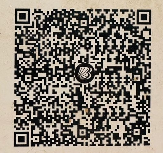 UPI QR Code
